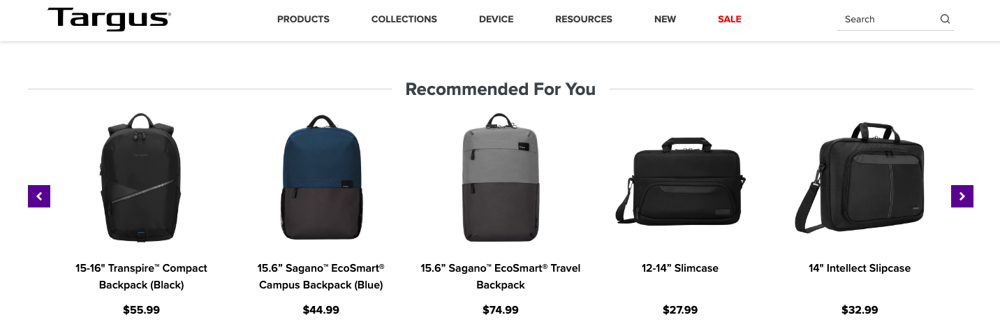 Targus suggests backpacks after a previous site visit.